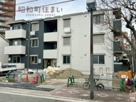 Wisteria 三信の画像