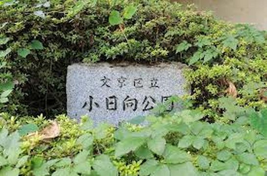 ステージグランデ茗荷谷の周辺