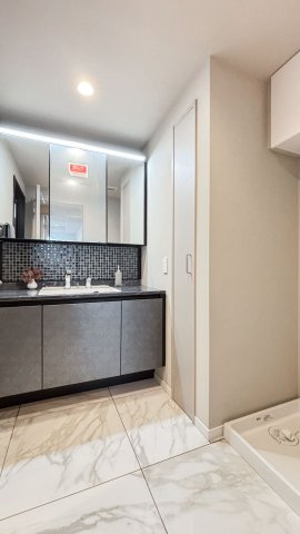 アーバンドック　パークシティ豊洲　タワーAの独立洗面台