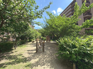 【その他】 | ファミールガーデン二条駅前　南棟 | 前道