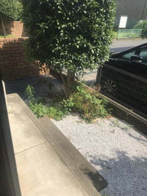 【庭】 | シェラ・エトワールB | テラス