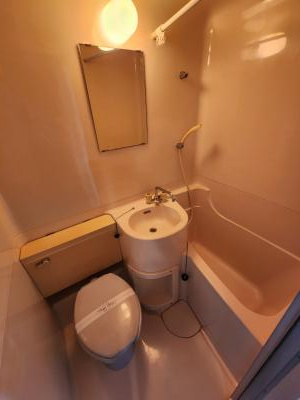 パラドール西院パートⅡの浴室