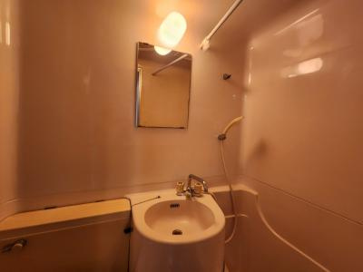 パラドール西院パートⅡの洗面所