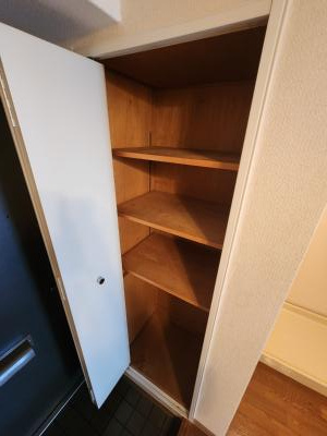 パラドール西院パートⅡの収納|玄関収納