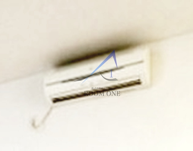 カーサ・カルムのその他