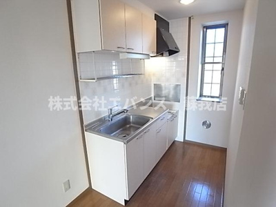  | ヒルズカツラギ