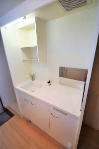 ジュークIIの洗面所