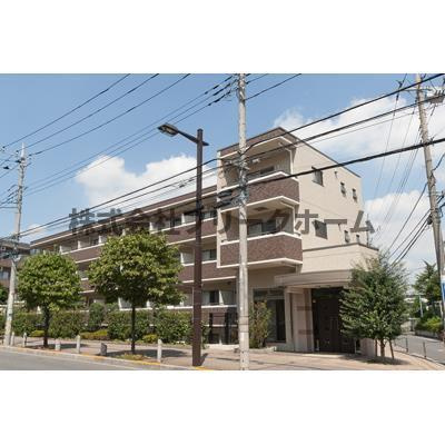 武蔵野市境２丁目の賃貸マンションの外観