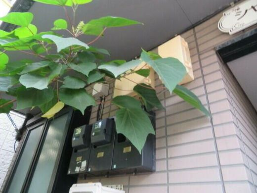 シャルム北新宿のその他共用部分|メールボックス☆