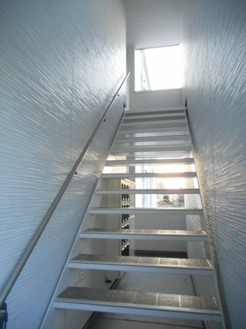 プリムラのその他