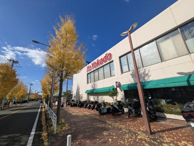  | イトーヨーカドー桂…まで1,080m 