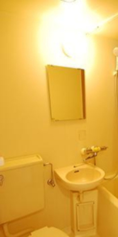 ペアメゾンアルファ―　駅近　角部屋　オートロックの洗面所