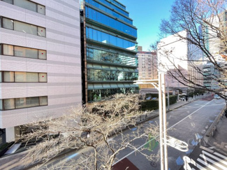 【展望】 | ライオンズマンション芝公園 | バルコニーからの眺望　当日のご見学、可能です！お気軽にお問い合わせください！※0120-133-468