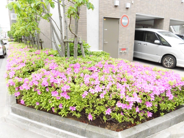 北区王子１丁目の賃貸マンションのその他共用部分|便利な敷地内ゴミ集積所。