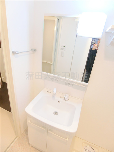 スカイコートパレス蒲田Ⅱの洗面所