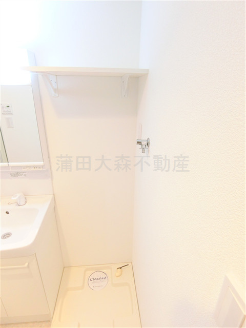 スカイコートパレス蒲田Ⅱの洗面所