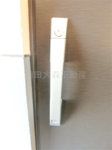 スカイコートパレス蒲田Ⅱの玄関