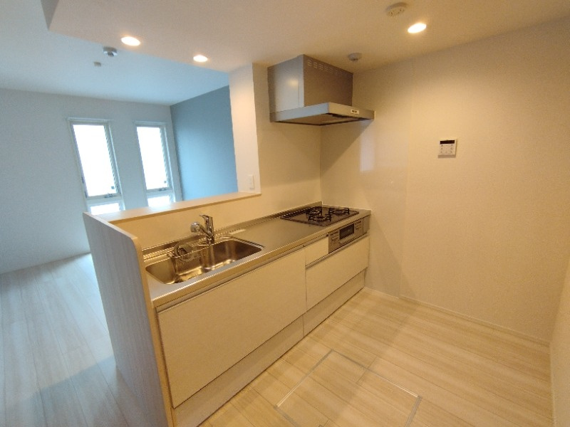 グリーヴィラ柱曙のキッチン