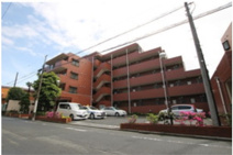 上池台コータスⅡの画像