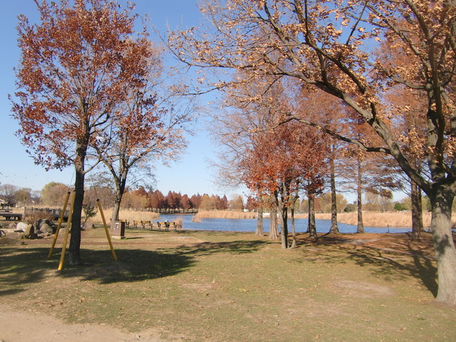 Ｇｒａｎｄ　Ｍａｉｓｏｎ　Ｃｈｏｕ　Ｃｈｏｕのその他|舎人公園