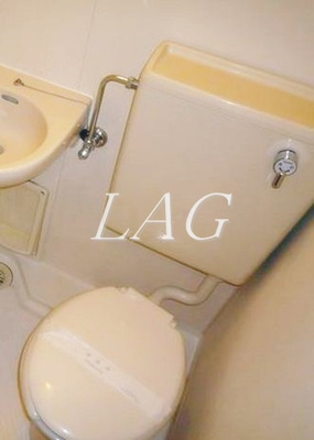 【トイレ】 | グローリア初穂桜台Ⅱ | トイレです。