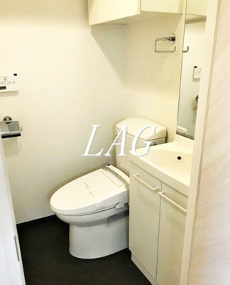 【トイレ】 | ル・リオン牛込柳町 | トイレです。