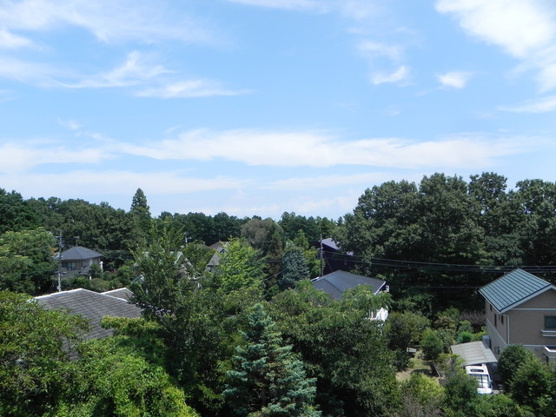 【展望】 | 大室高原別荘地　戸建