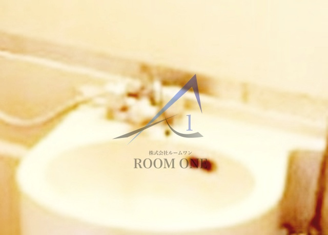 樫山ビル若葉荘の洗面所|洗面台です。