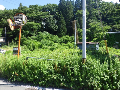 【周辺】 | 大館市鉄砲場91-11他1筆・土地物件