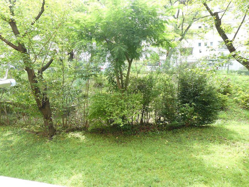 目の前に広がる緑豊かな敷地内