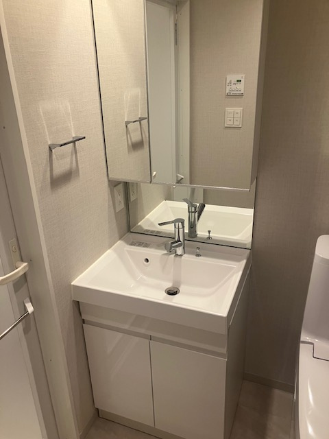 ＲＥＬＵＸＩＡ両国Ⅱの洗面所