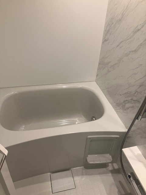 ＲＥＬＵＸＩＡ両国Ⅱの浴室