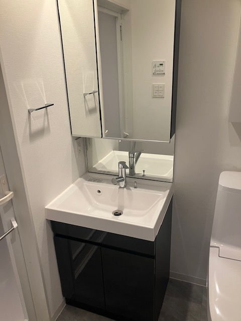 ＲＥＬＵＸＩＡ両国Ⅱの洗面所