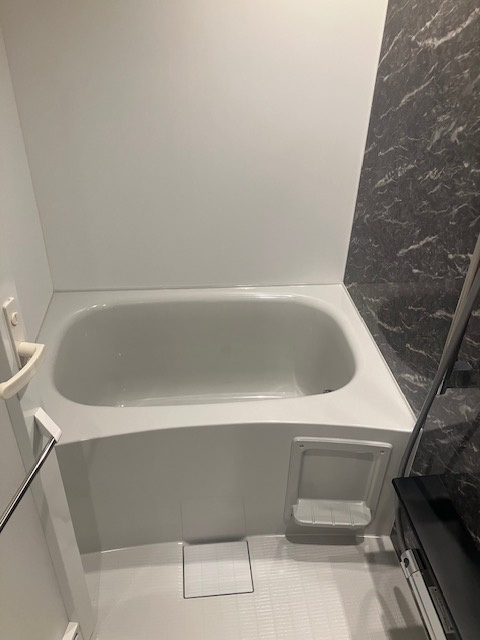 ＲＥＬＵＸＩＡ両国Ⅱの浴室