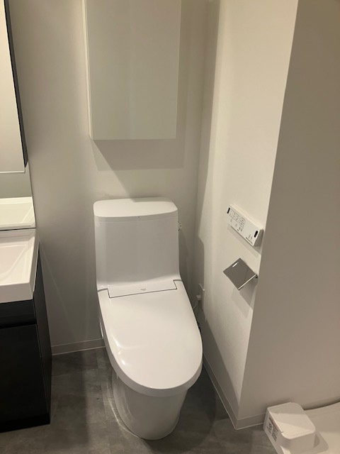 ＲＥＬＵＸＩＡ両国Ⅱのトイレ