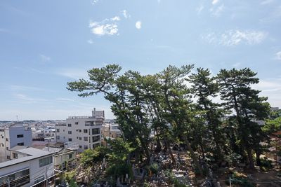 パークアクシス市川の展望