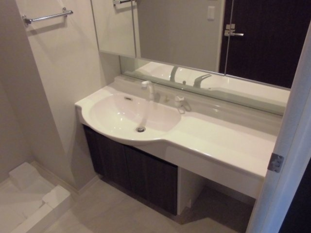 ポラリス菊川の洗面所