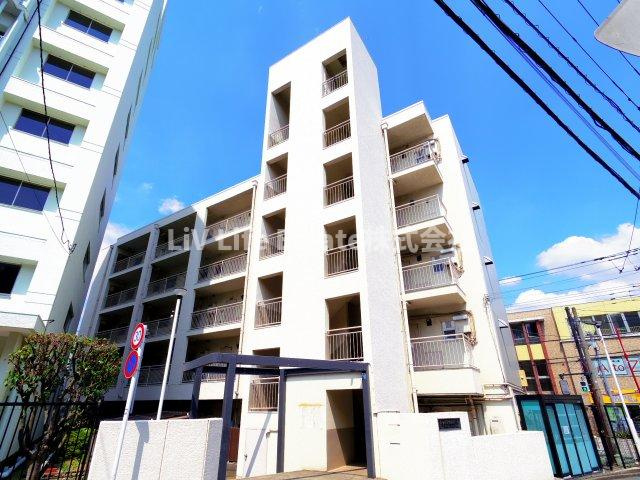 ラズ　ルミノサ　タナシ