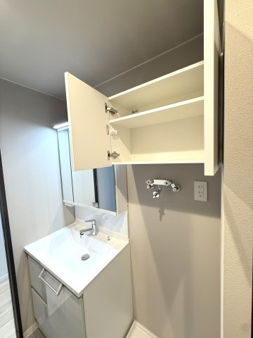 グレートヒル北18条の独立洗面台