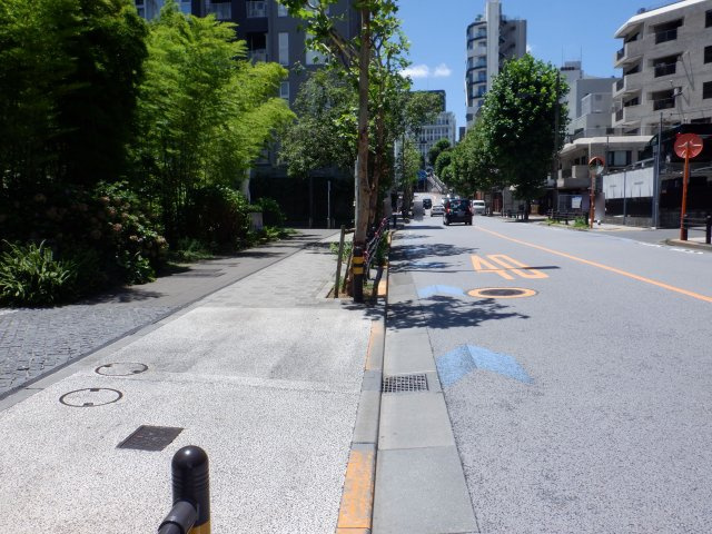 Park Court Akasaka Hinokicho The Towerのその他|前面道路