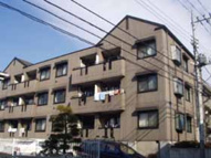 シルクトゥリー　Ａの画像