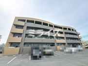 ｴﾊﾞｰｸﾞﾚｲｽの画像