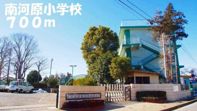 【周辺】 | セレノ・カーサ・Ｓ　Ⅱ | 南河原小学校まで700m