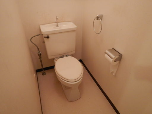 ハイツ仏天垣のトイレ