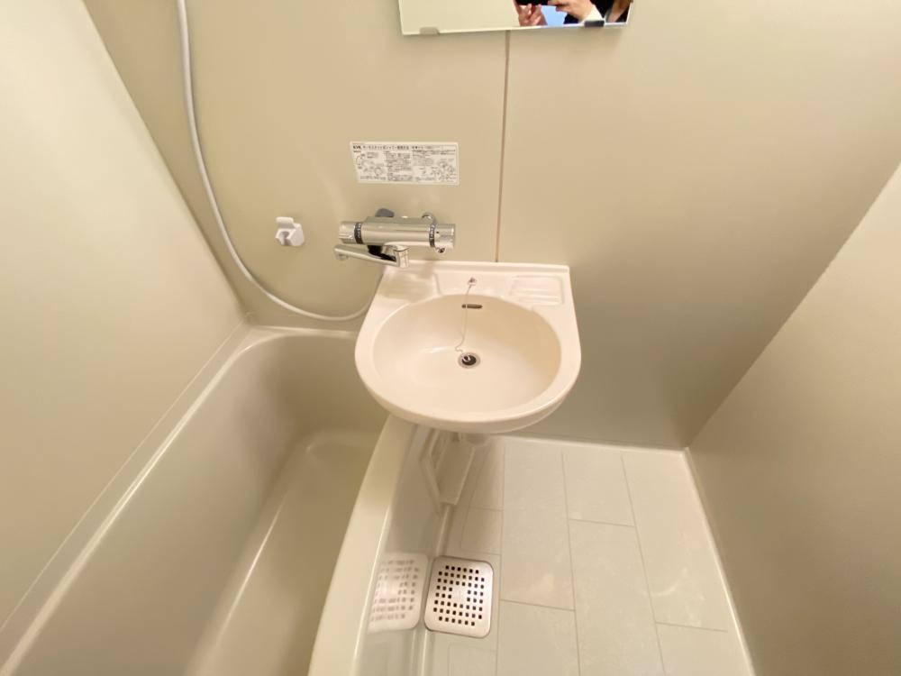 アライブ大箇の洗面所