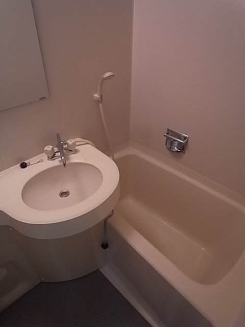 ステラハウス4-500の浴室