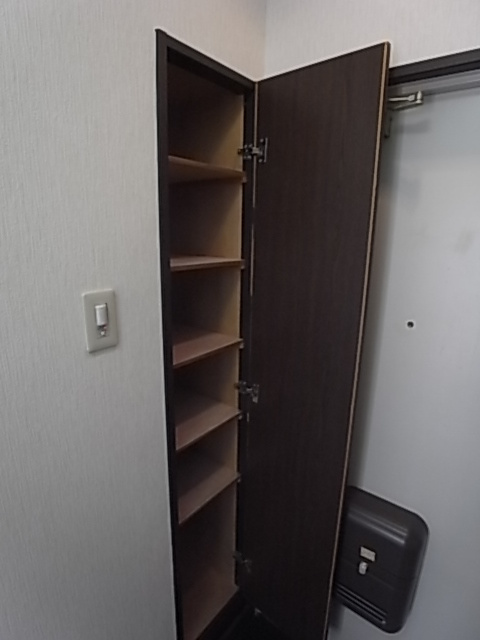 ステラハウス4-500の玄関