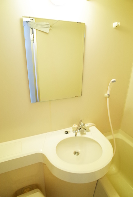 ステラハウス4-800の洗面所