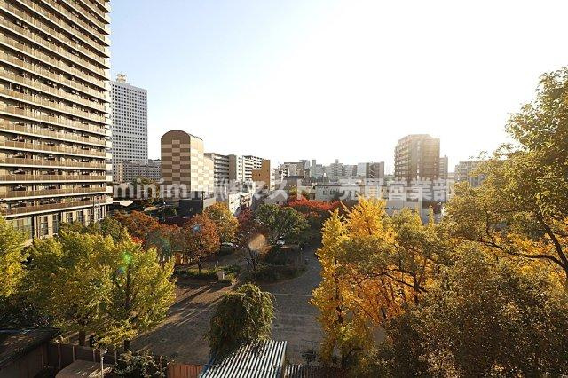 ノバカネイチ堂島2番館の展望