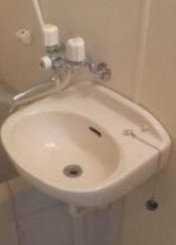 菱和パレス飯田橋駅前の洗面所